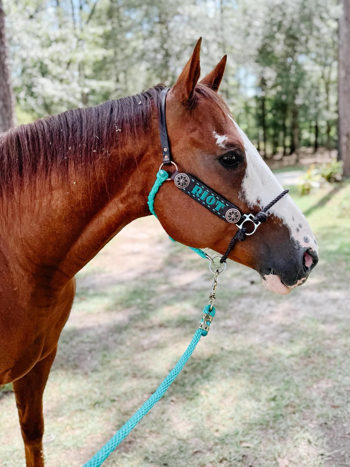 Custom Elite Hybrid Halter