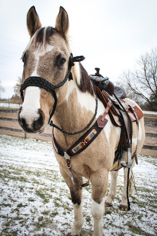 Pendleton Muletape Breast Collar