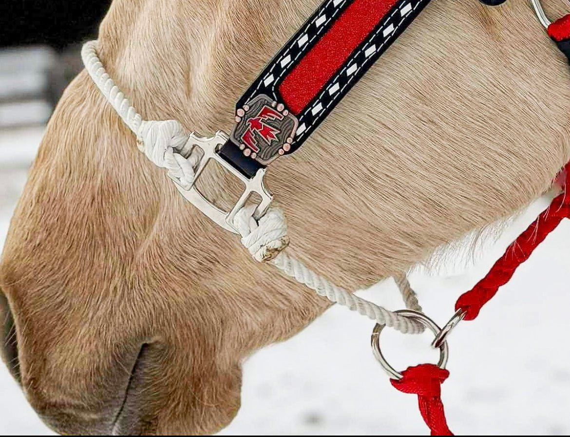 Pendleton Elite Hybrid Lariat Halter