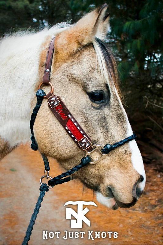 Custom Elite Hybrid Halter