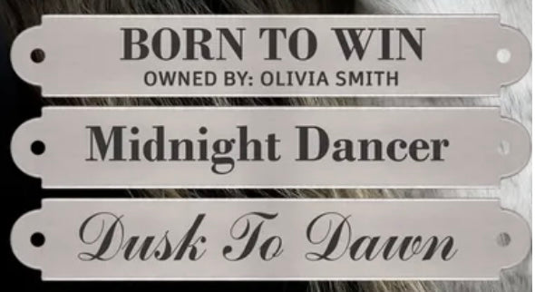 Custom Nameplate Hybrid Lariat Halter