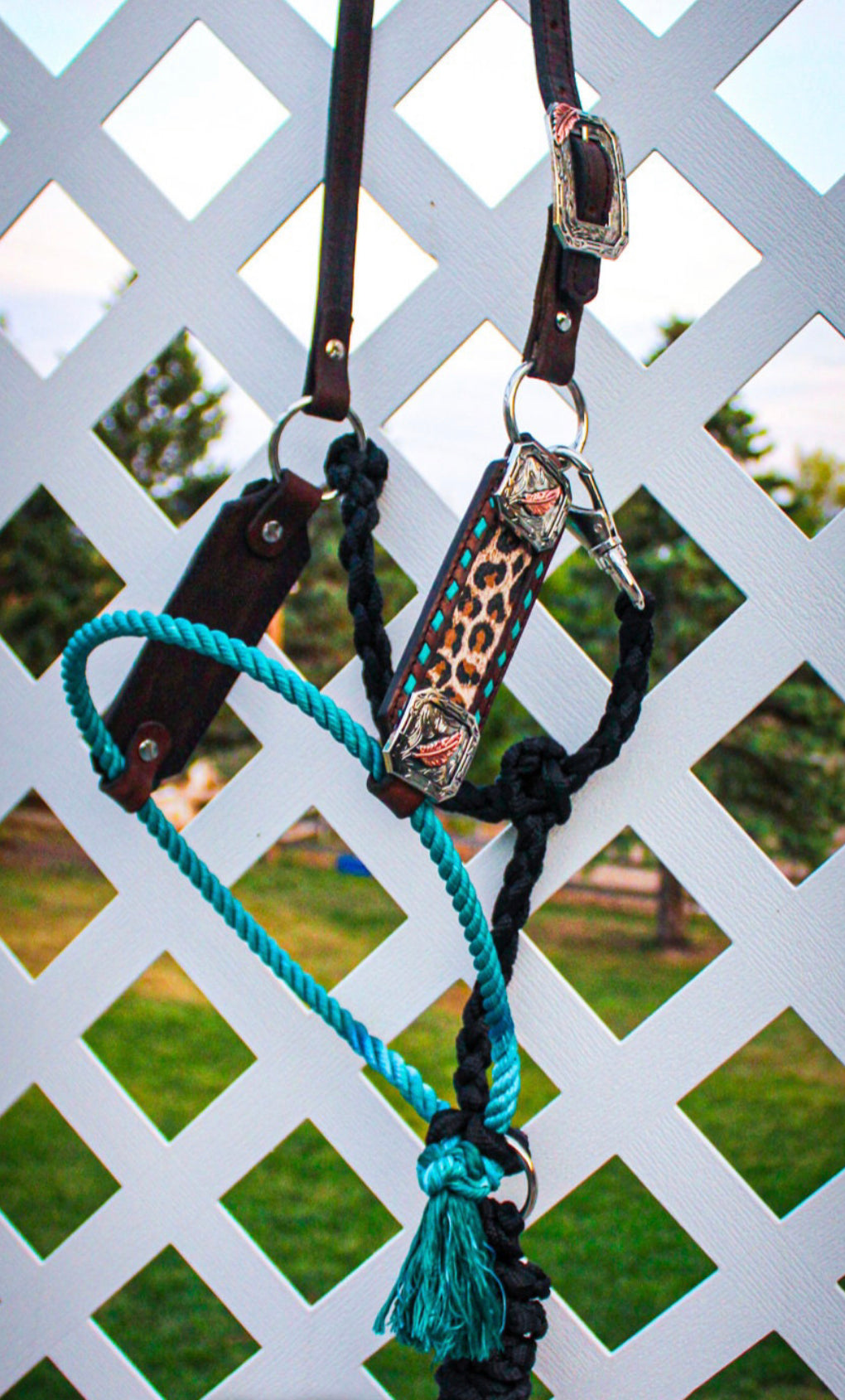 Hybrid Lariat Halter