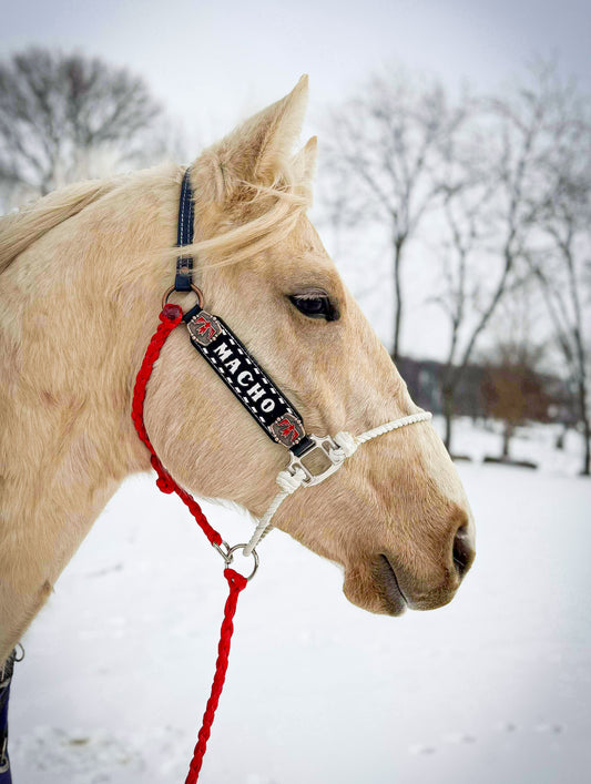 Custom Elite Hybrid Halter