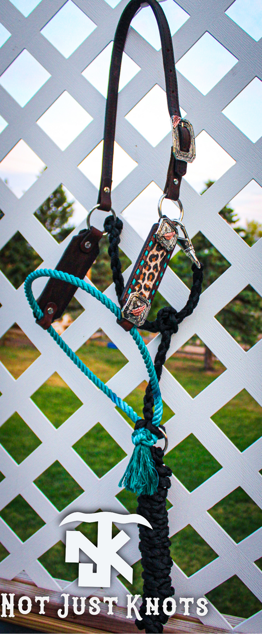 Hybrid Lariat Halter
