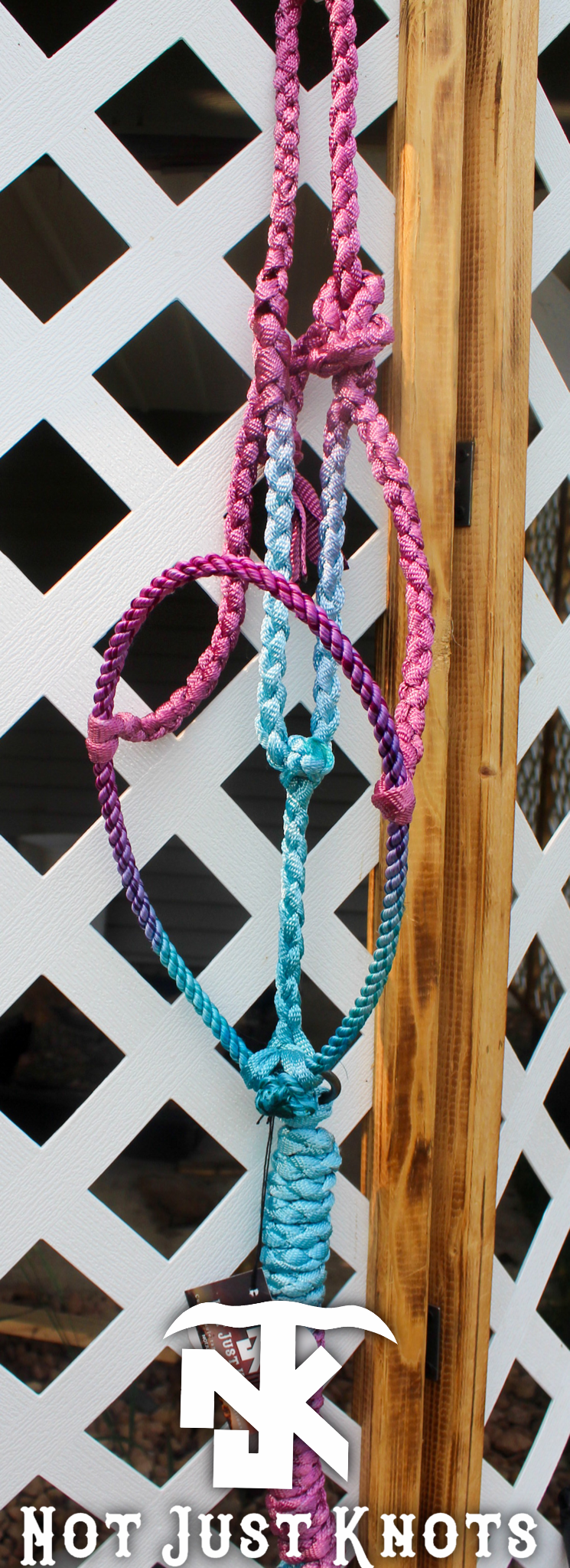 Lariat Halter - Ombré