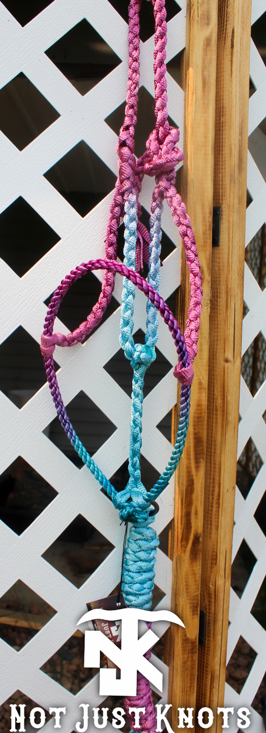 Lariat Halter - Ombré