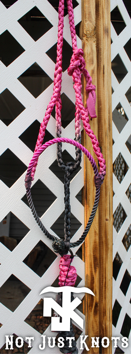 Lariat Halter - Pink/Graphite Ombré