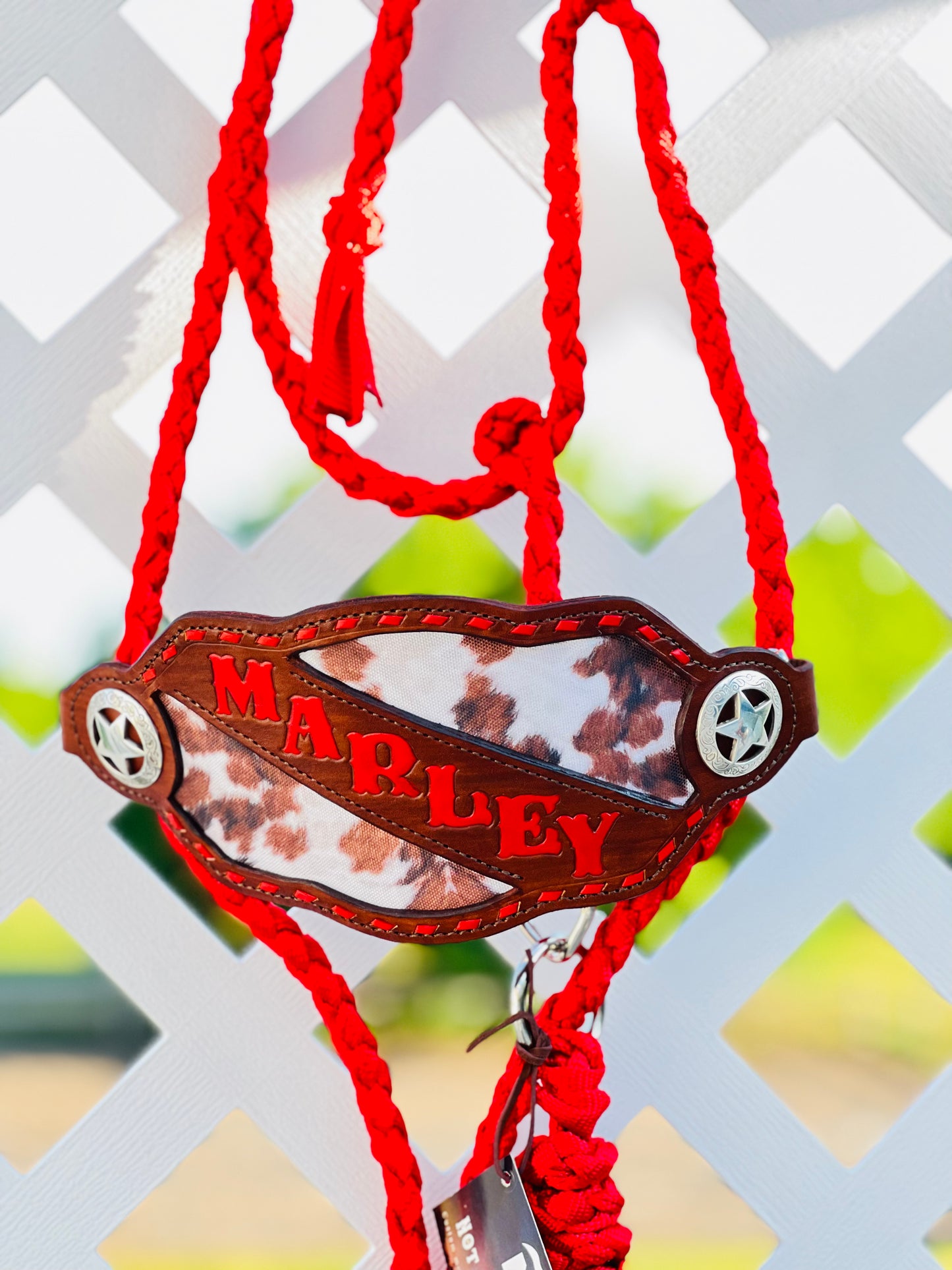 Custom Bronc Noseband with Inlay