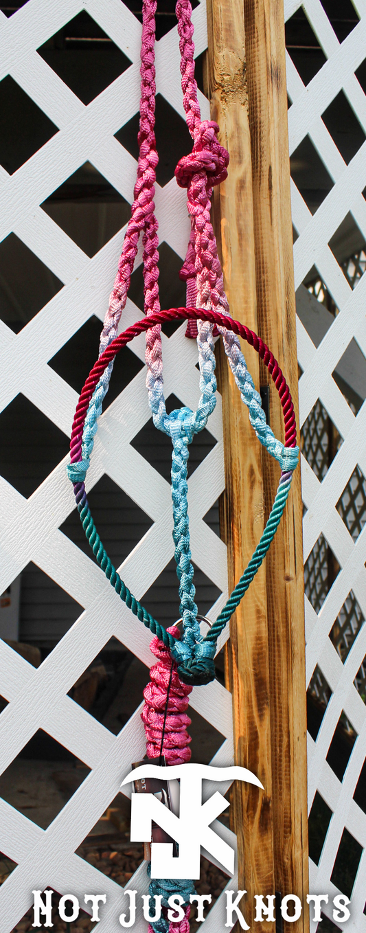 Lariat Halter - Ombré