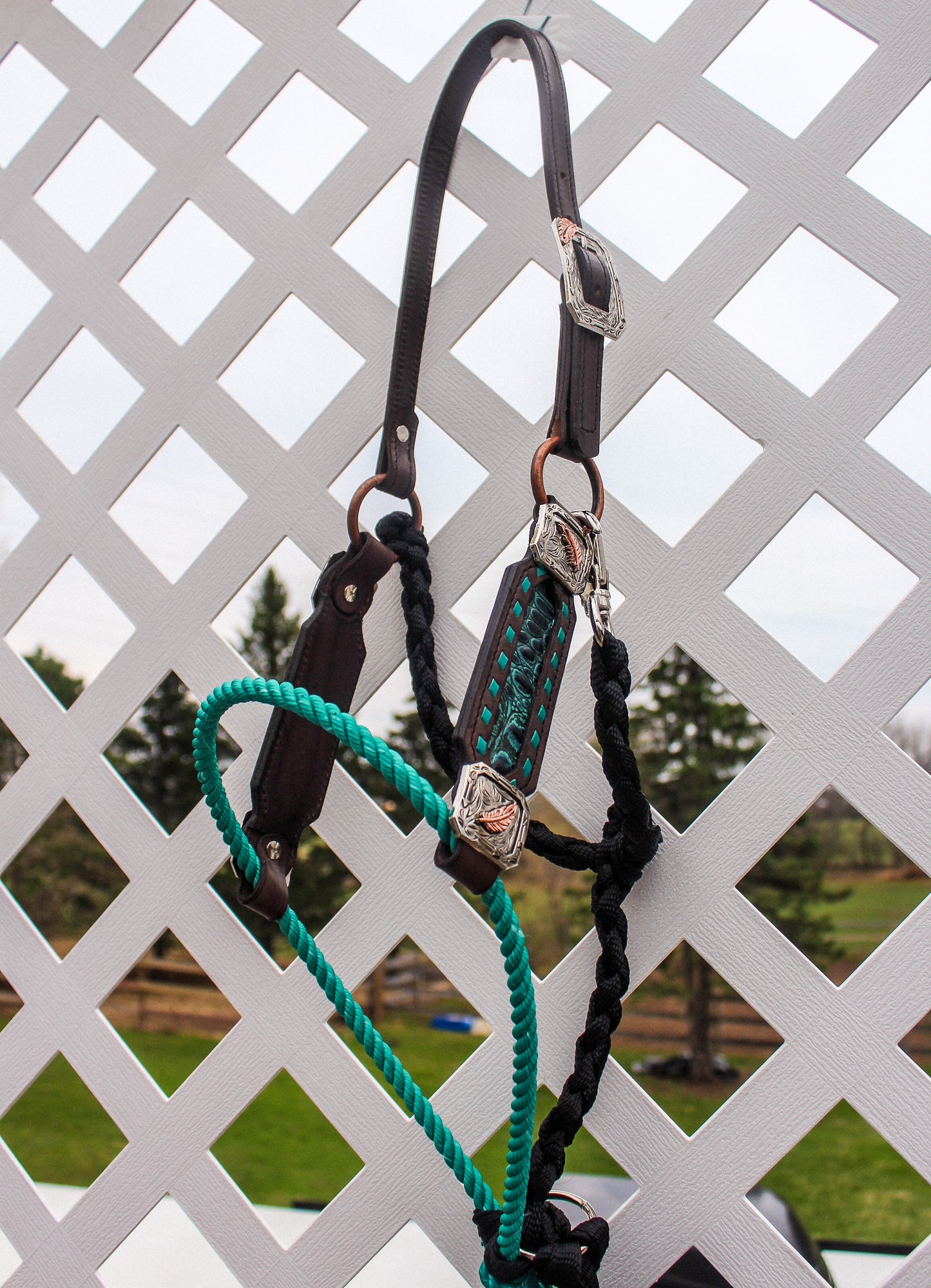 Hybrid Lariat Halter