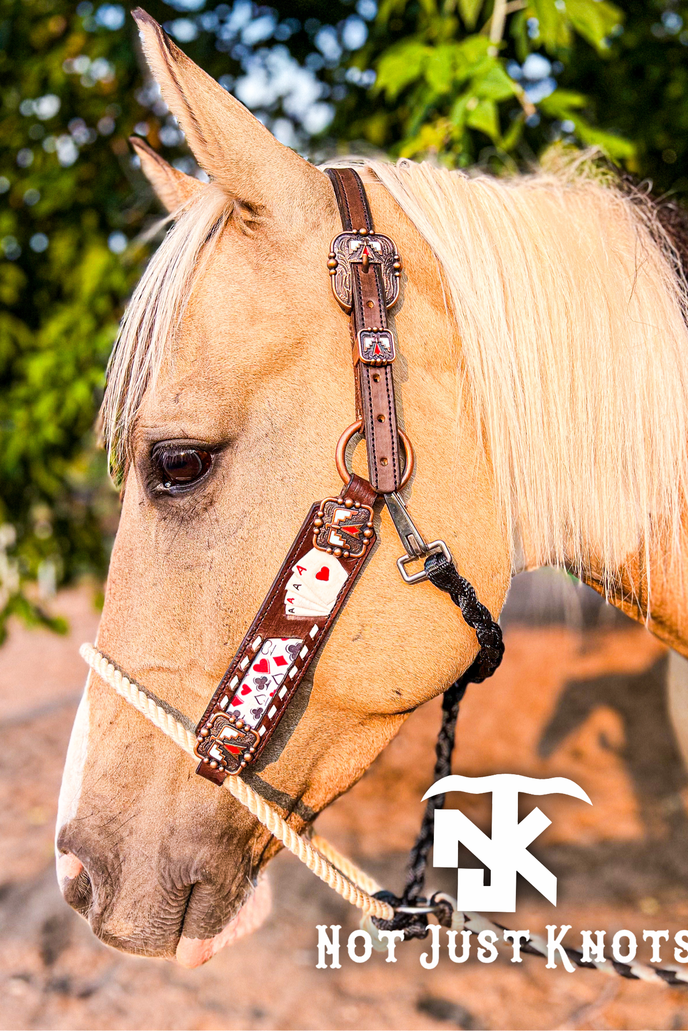 Custom Hybrid Lariat Halter – Not Just Knots