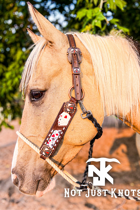Custom Hybrid Lariat Halter