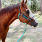 Custom Elite Hybrid Halter