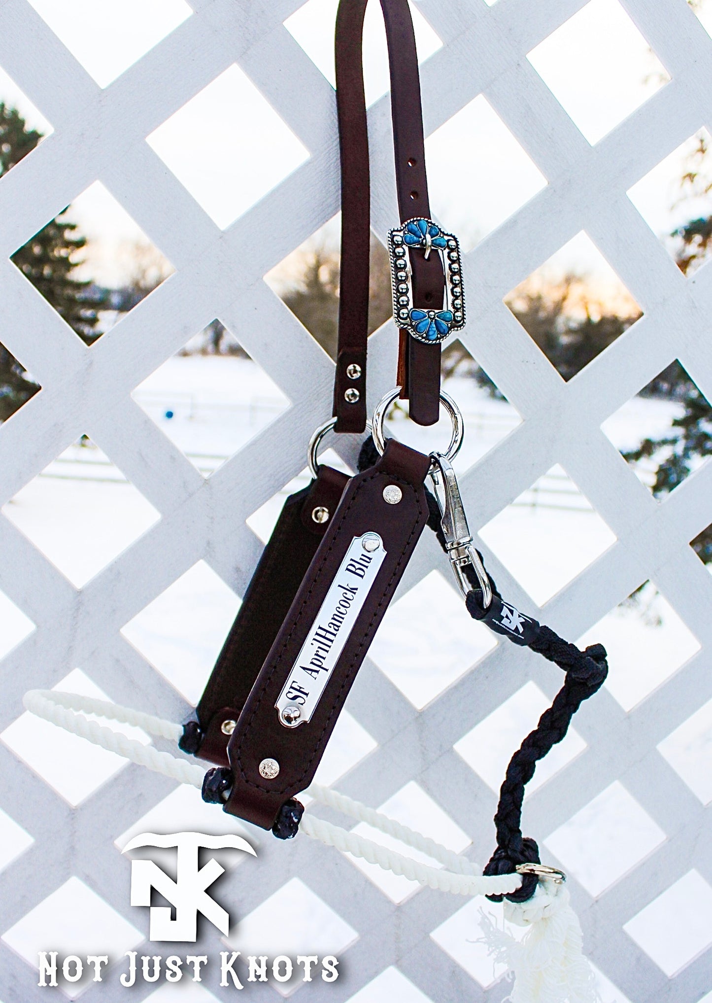 Custom Nameplate Hybrid Lariat Halter