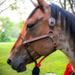 Classic Hybrid Lariat Halter