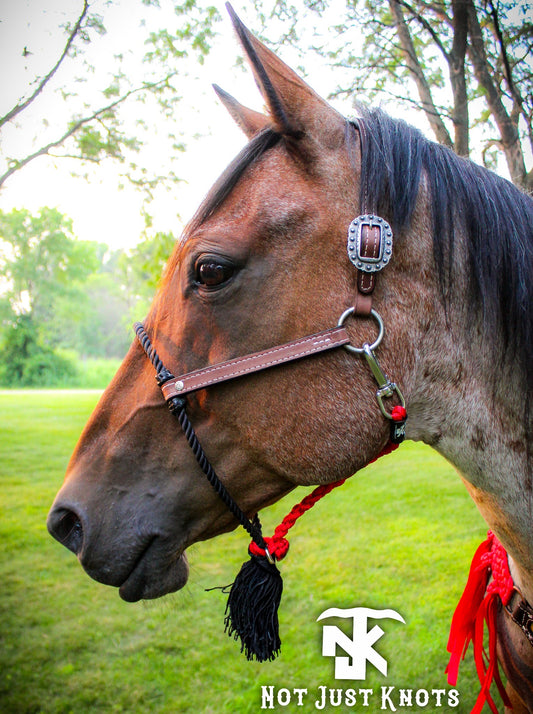 Classic Hybrid Lariat Halter