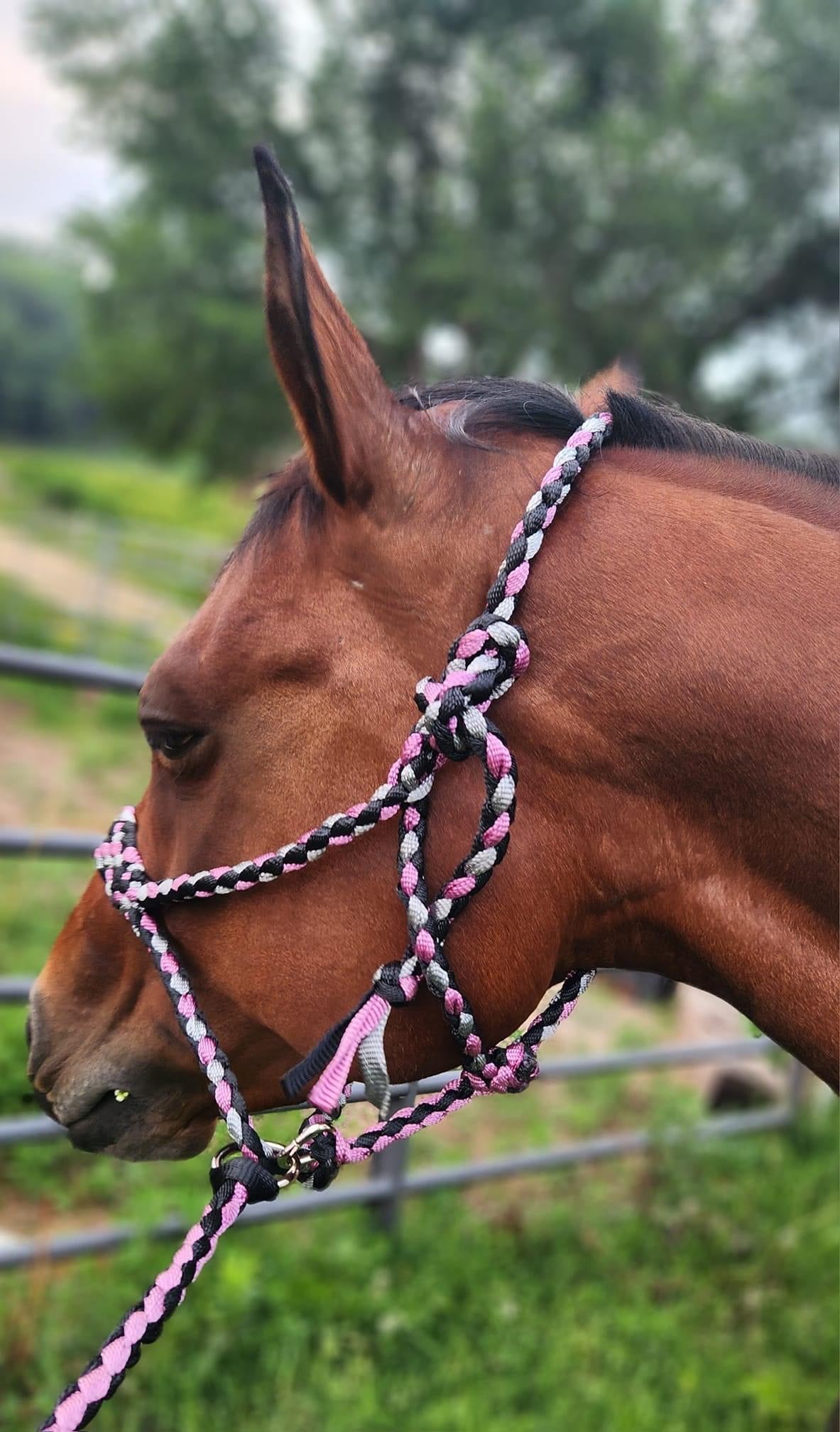 Custom Muletape Halter Elite