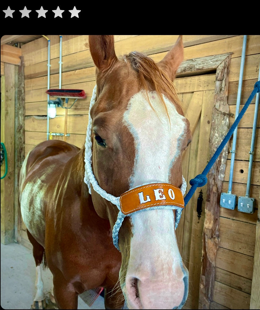 Custom Wool and Leather 2024 Noseband Muletape Halter - Platinum, Red, Orange